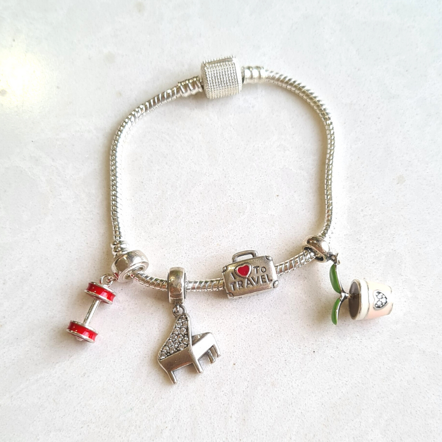 Charms Bracelet With 4 Charms (Silver)