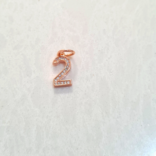 Number 2 Charm Pendant